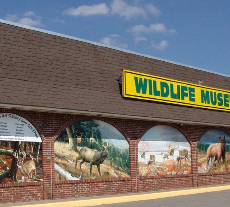 the-wildlife-sports-and-educational-museum-photo